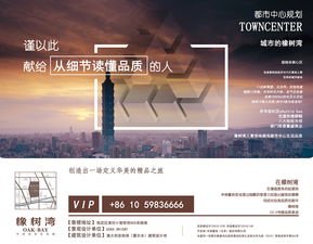 廣告設(shè)計(jì) 藝術(shù)與商業(yè)的完美融合